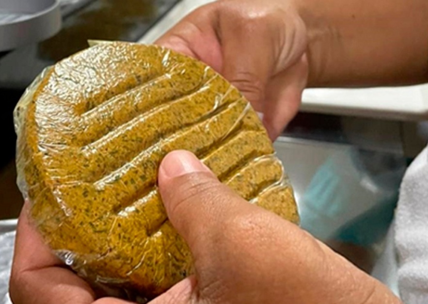 Pesquisa usa coco babaçu para criar hambúrguer 1 Foto Flávia Bessa_Embrapa Maranhão