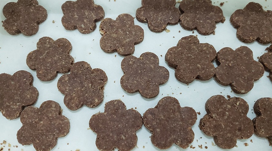 Pesquisa usa coco babaçu para criar hambúrguer 4 Foto Flávia Bessa_Embrapa Maranhão