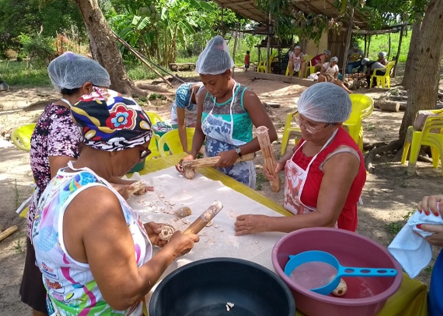 Pesquisa usa coco babaçu para criar hambúrguer 6 Foto Flávia Bessa_Embrapa Maranhão