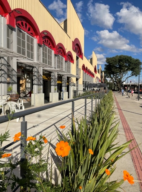 Pinhão chega ao Mercado Municipal de Curitiba 2 Foto Ana Amaral Divulgação Mercado Municipal de Curitiba