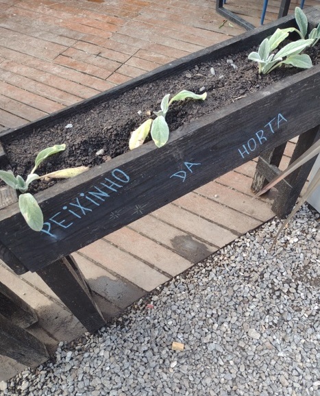 Dona Chica inaugura casa no Parque Capivari 10 Foto Claudio Schapochnik_Que Gostoso!