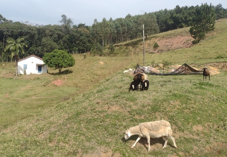 Em Jundiaí Castanho produz ótimos espumantes 3 Foto Claudio Schapochnik_Que Gostoso!