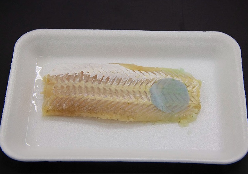 Embalagem muda de cor quando peixe estraga 2 Foto Matheus Falanga_divulgação Embrapa Instrumentação