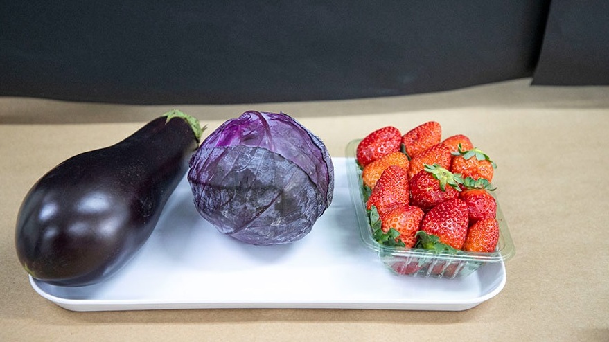 Embalagem muda de cor quando peixe estraga 3 Foto Matheus Falanga_divulgação Embrapa Instrumentação