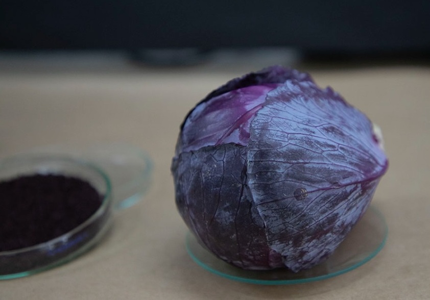 Embalagem muda de cor quando peixe estraga 5 Foto Matheus Falanga_divulgação Embrapa Instrumentação