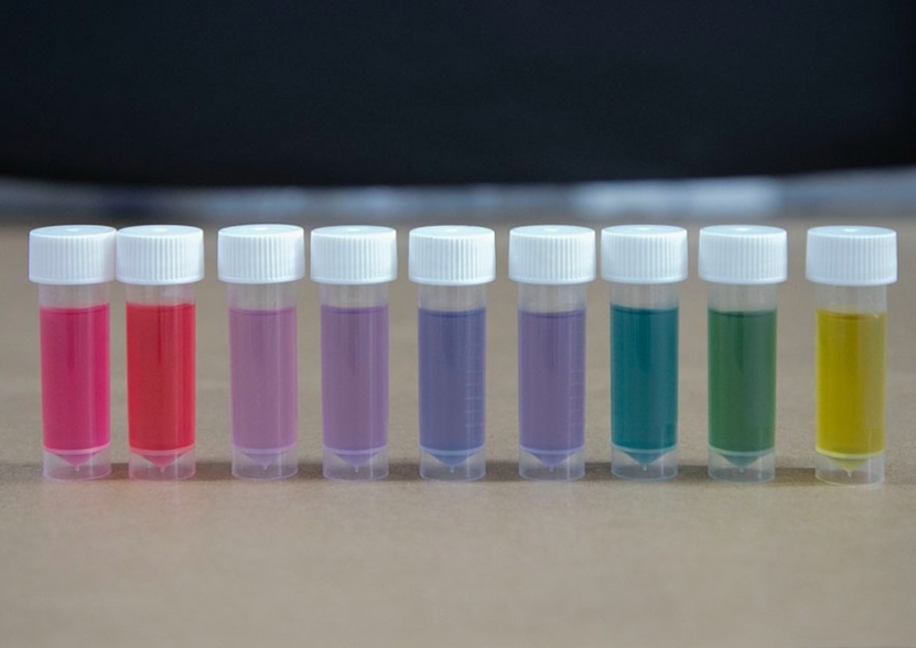 Embalagem muda de cor quando peixe estraga 6 Foto Matheus Falanga_divulgação Embrapa Instrumentação