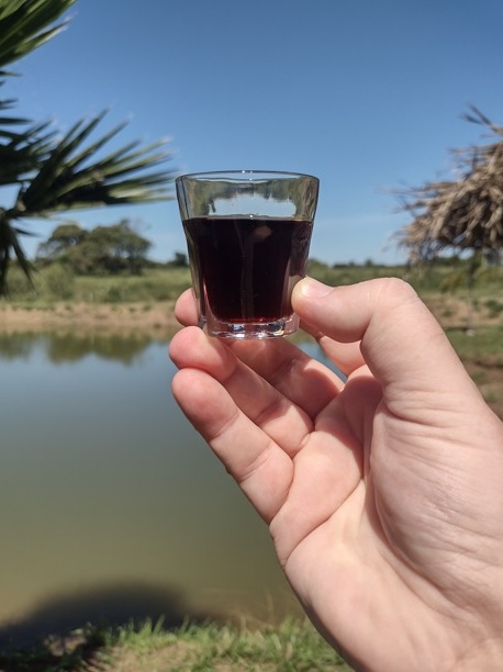Sabor de SP San Murai serve almoço magnífico 8 Foto Claudio Schapochnik_Que Gostoso!