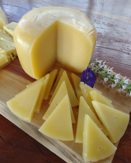 Sabor de SP Dal Bello faz queijos notáveis de jersey 14 Foto Claudio Schapochnik_Que Gostoso!