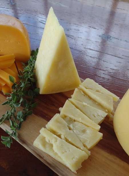 Sabor de SP Dal Bello faz queijos notáveis de jersey 15 Foto Claudio Schapochnik_Que Gostoso!