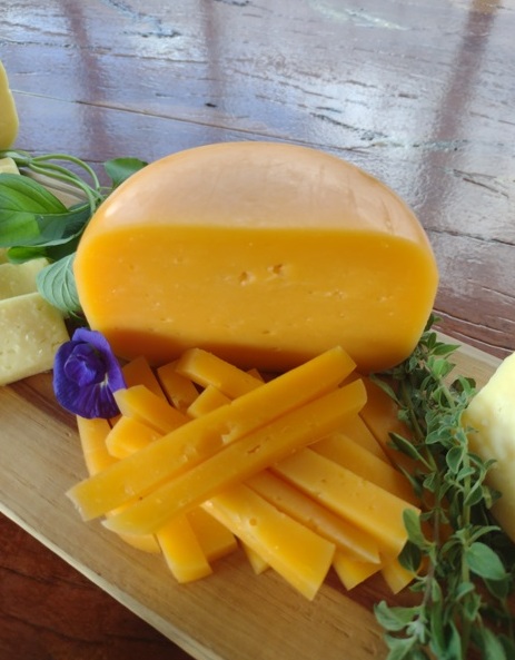 Sabor de SP Dal Bello faz queijos notáveis de jersey 16 Foto Claudio Schapochnik_Que Gostoso!