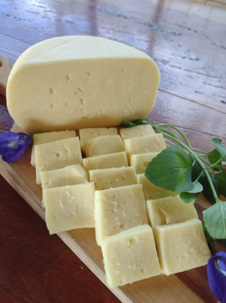 Sabor de SP Dal Bello faz queijos notáveis de jersey 17 Foto Claudio Schapochnik_Que Gostoso!