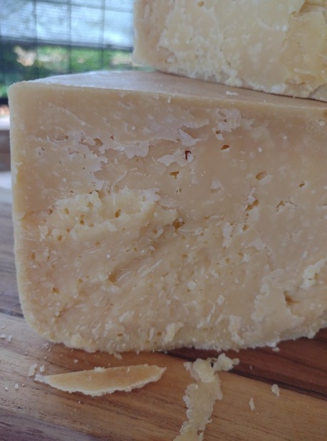 Sabor de SP Dal Bello faz queijos notáveis de jersey 21 Foto Claudio Schapochnik_Que Gostoso!