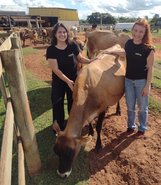 Sabor de SP Dal Bello faz queijos notáveis de jersey 3 Foto Claudio Schapochnik_Que Gostoso!
