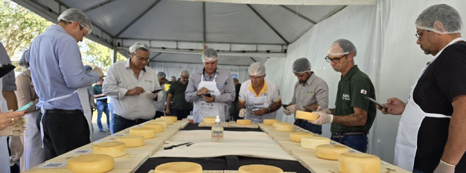 Concurso do Queijo Minas Artesanal da Canastra divulga vencedores Foto Rafael Soal_EmaterMG Divulgação Agência Minas