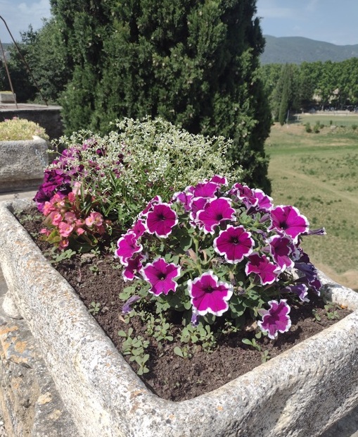 Luberon (FR) Lourmarin conquista com charme 19 Foto Claudio Schapochnik_Que Gostoso!