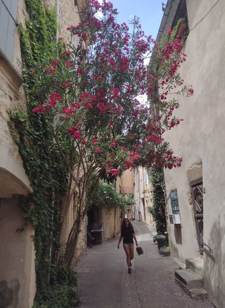 Luberon (FR) Lourmarin conquista com charme 4 Foto Claudio Schapochnik_Que Gostoso!