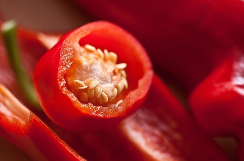 Molho de pimenta é tema de concurso nacional Foto Bronisław Dróżka_Pixabay