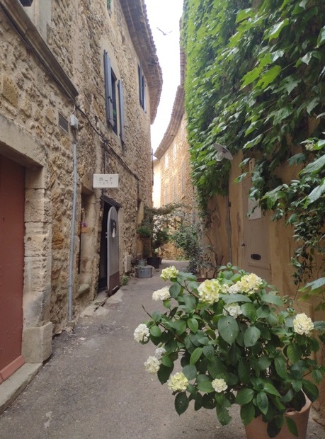 Região de Luberon (França) é nova série do QG! 16 Foto Claudio Schapochnik_Que Gostoso!