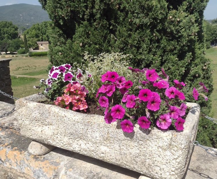 Região de Luberon (França) é nova série do QG! 20 Foto Claudio Schapochnik_Que Gostoso!