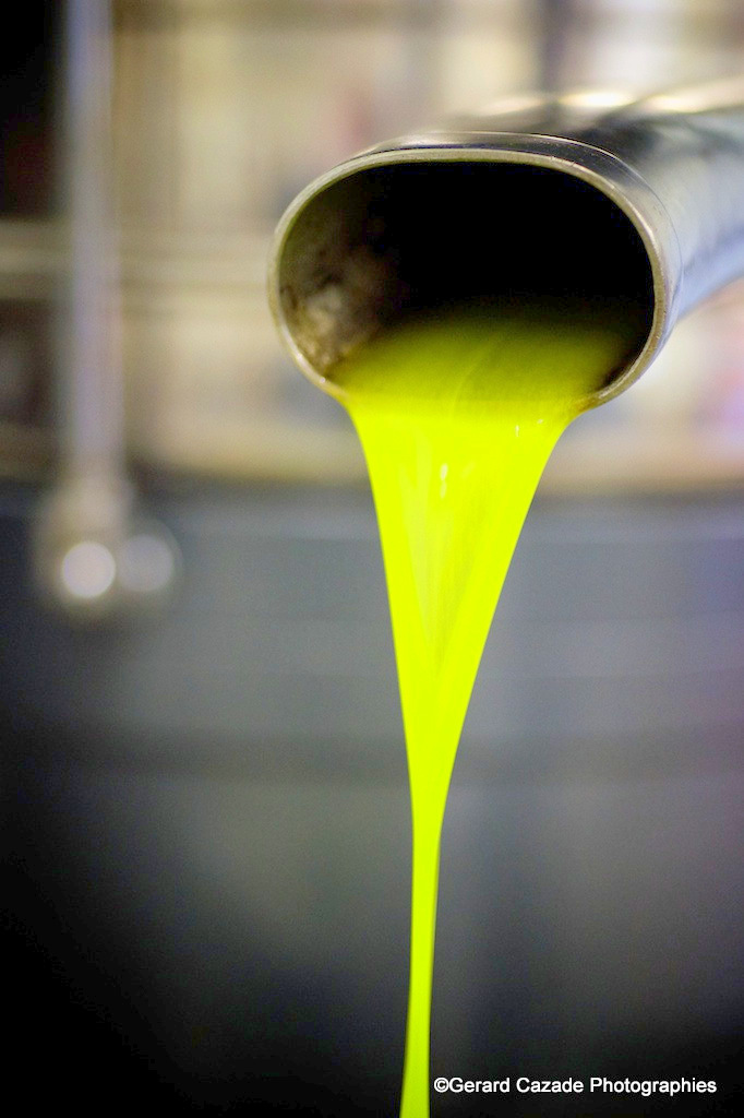 Luberon (FR) Azeite da Bastide du Laval é fabuloso 2 Foto Gerard Cazade Photographies