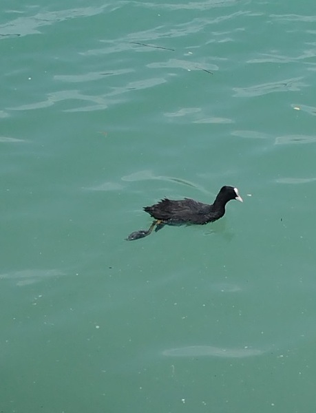 Luberon (FR) Beira de lago convida para picnic 8 Foto Claudio Schapochnik_Que Gostoso!