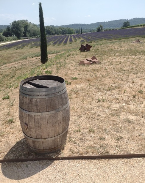 Luberon (FR) Château de Sannes faz ótimo vinho 5 Foto Claudio Schapochnik_Que Gostoso!