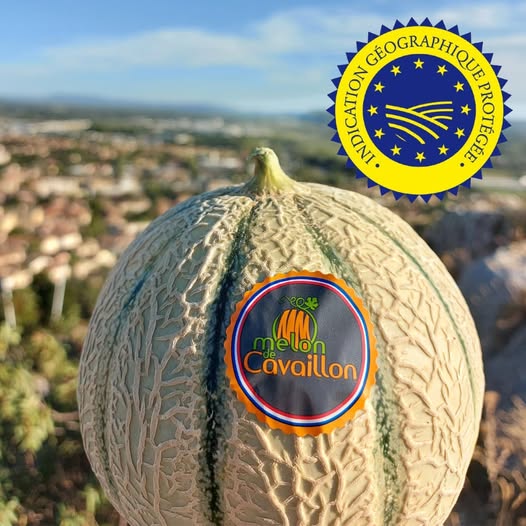 Luberon (FR) Melão de Cavaillon seduz desde 1495 1 Reprodução da página Melon de Cavaillon no Facebook