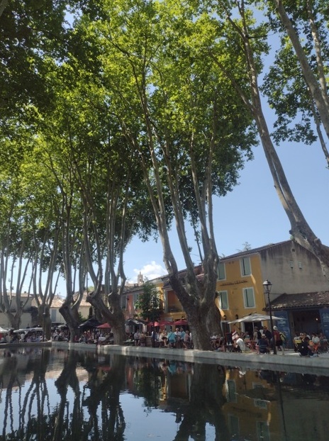 Luberon (FR) Rica no terroir, feira é comportada 10 Foto Claudio Schapochnik_Que Gostoso!