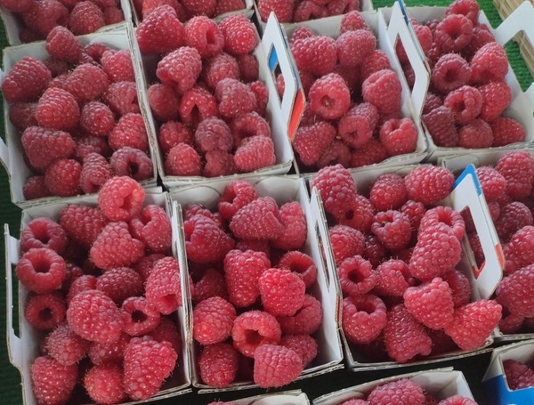 Luberon (FR) Rica no terroir, feira é comportada 11 Foto Claudio Schapochnik_Que Gostoso!