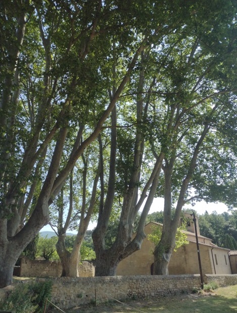 Luberon (FR) Vilarejos que pararam no tempo 8 Foto Claudio Schapochnik_Que Gostoso!