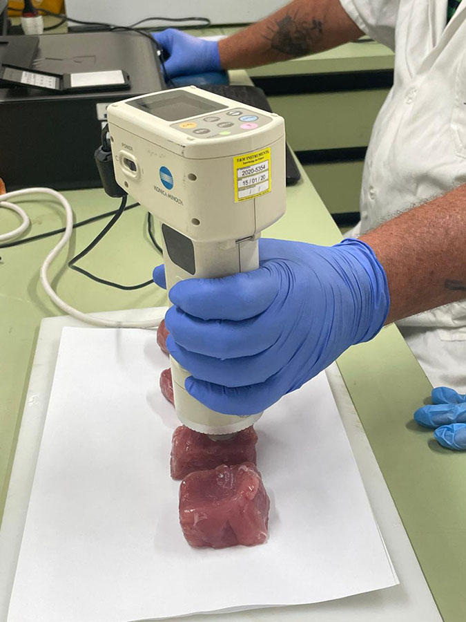 Produção de análogos de pescado ganha impulso 1 Foto Fabíola Fogaça Divulgação Embrapa