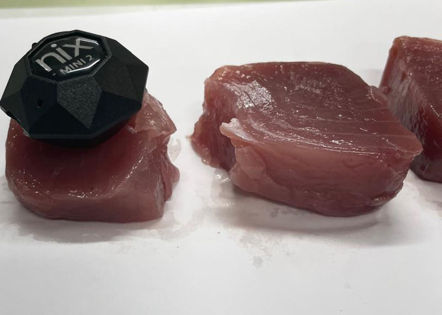 Produção de análogos de pescado ganha impulso 3 Foto Fabíola Fogaça Divulgação Embrapa