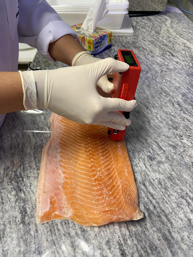 Produção de análogos de pescado ganha impulso 5 Foto Fabíola Fogaça Divulgação Embrapa