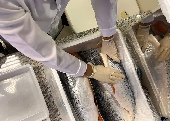 Produção de análogos de pescado ganha impulso 6 Foto Fabíola Fogaça Divulgação Embrapa