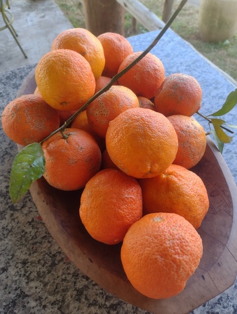 Sabor de SP Almoço do Peabiru tem muita história 25 Foto Claudio Schapochnik_Que Gostoso!