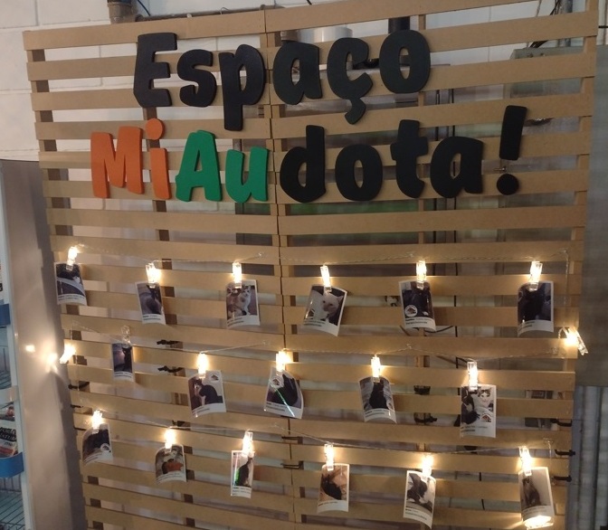 Sabor de SP Artesanal, Los Gatos faz ótima cerveja 7 Foto Claudio Schapochnik_Que Gostoso!