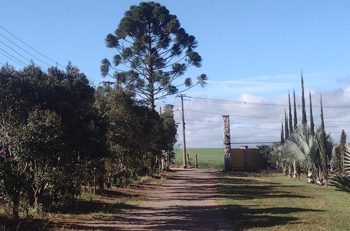 Sabor de SP Vinícola terá restaurante e espumante 1 Foto Claudio Schapochnik_Que Gostoso!