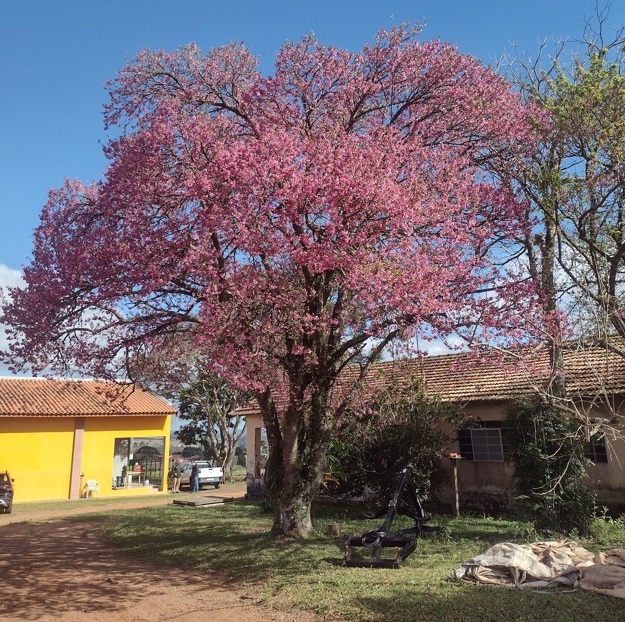 Sabor de SP Vinícola terá restaurante e espumante 3 Foto Claudio Schapochnik_Que Gostoso!